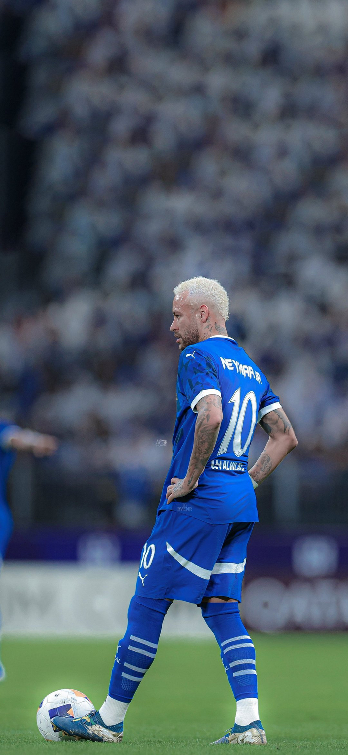 的调整能力 的调整能力